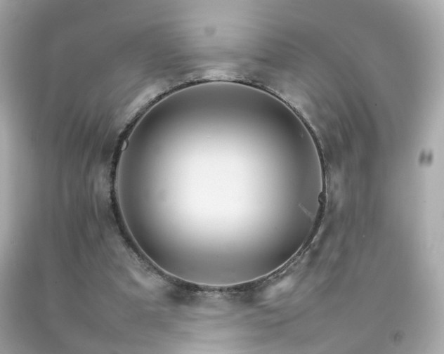 X0000092070297200709121422