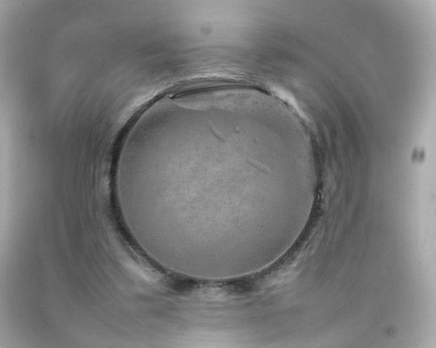 X0000092070299200709121422