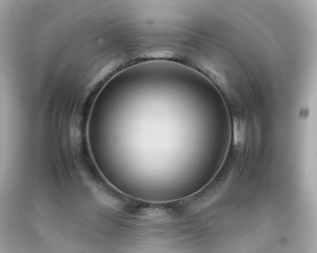 X0000092070300200709121422