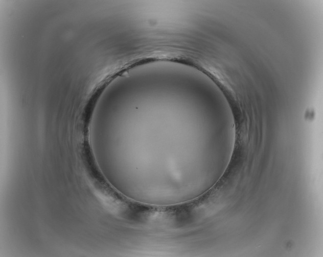 X0000092070303200709121422