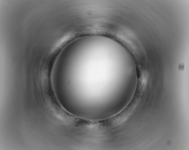 X0000092070306200709121422