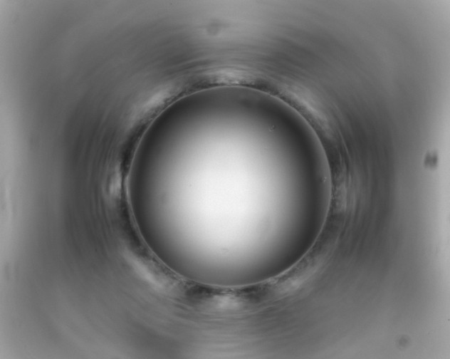 X0000092070310200709121422