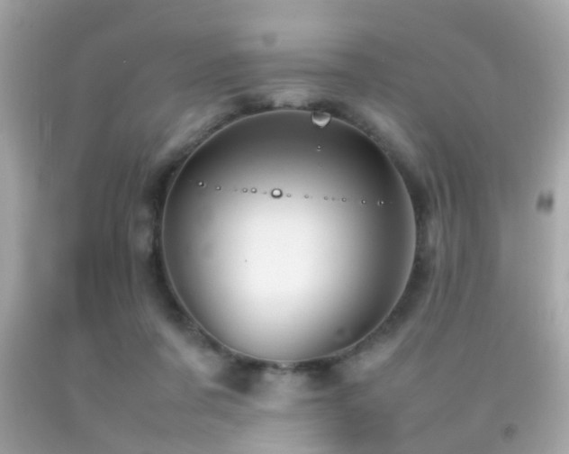 X0000092070311200709121422
