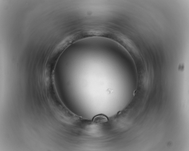 X0000092070312200709121422