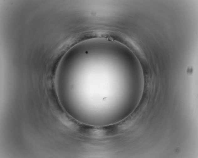 X0000092070313200709121422