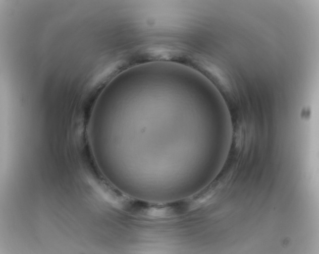 X0000092070314200709121422