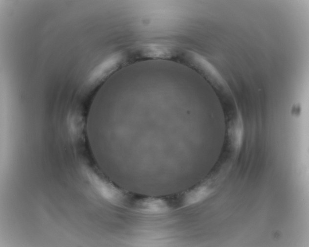 X0000092070322200709121421