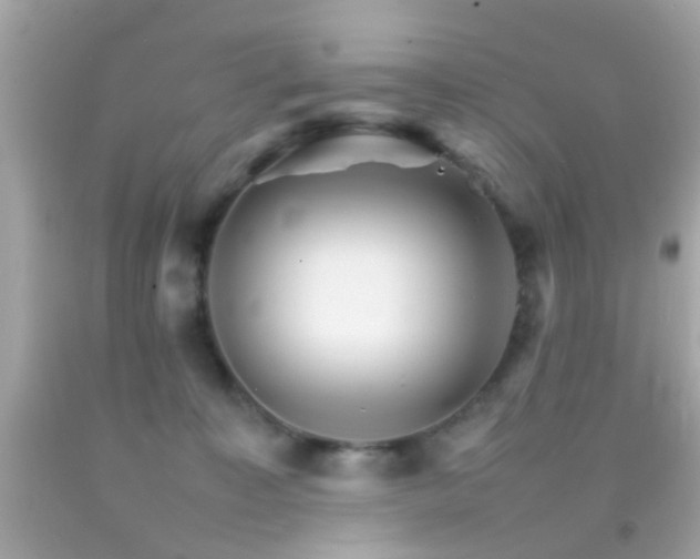X0000092070323200709121421