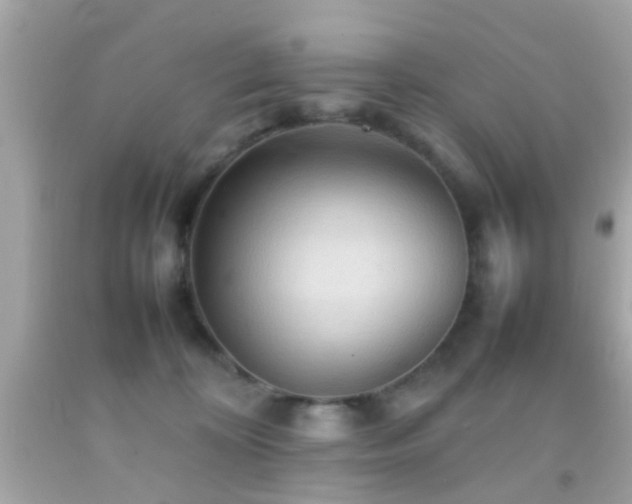 X0000092070324200709121421