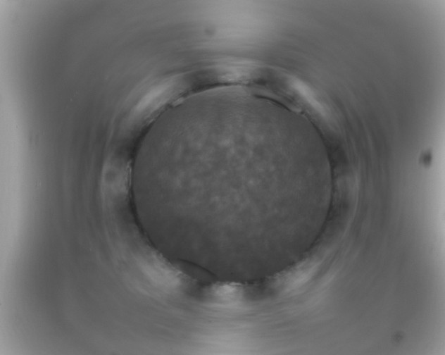 X0000092070325200709121421