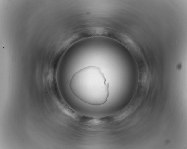 X0000092070326200709121421