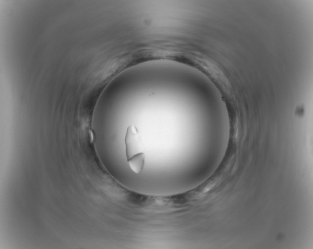 X0000092070329200709121421
