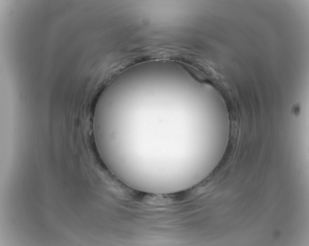 X0000092070331200709121421