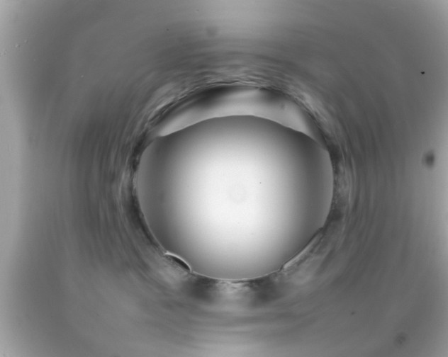 X0000092070333200709121421