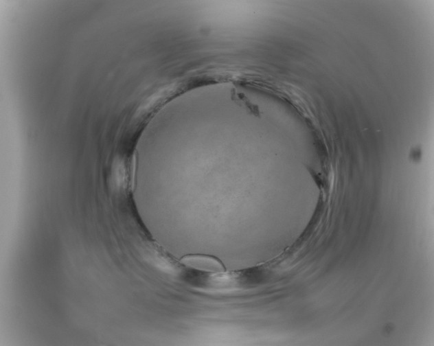 X0000092070335200709121421