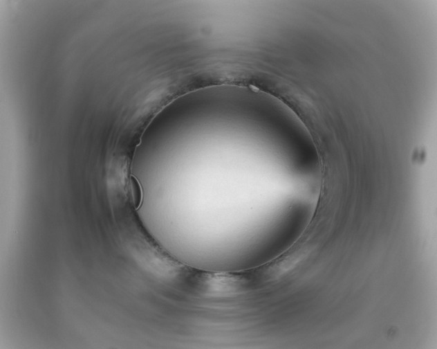X0000092070336200709121421
