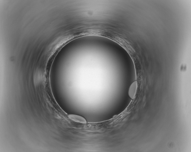X0000092070338200709121421