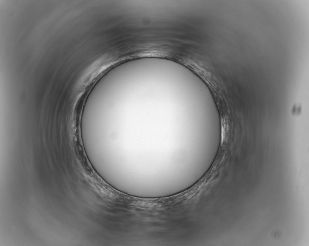 X0000092070339200709121421