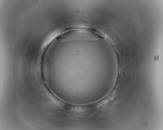 X0000092070341200709121421