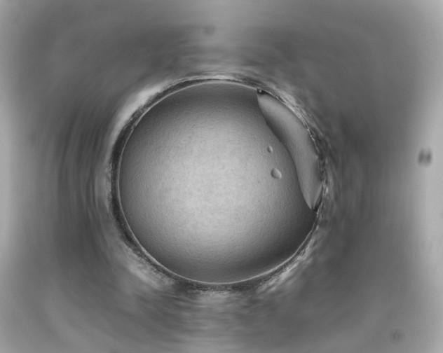 X0000092070342200709121421