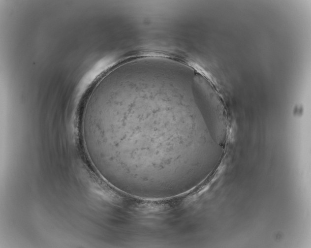 X0000092070343200709121421