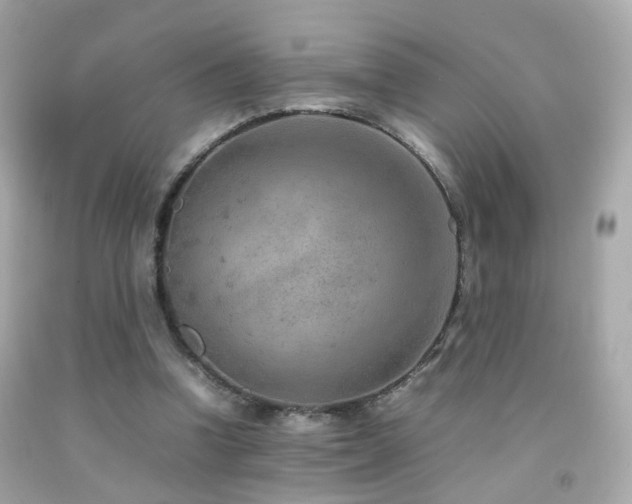 X0000092070346200709121421