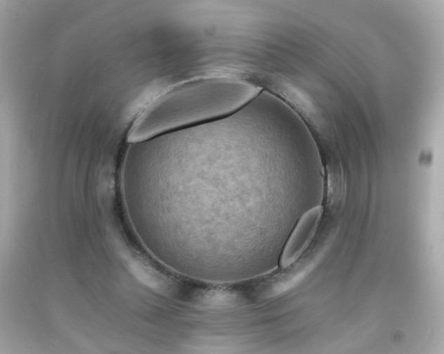 X0000092070348200709121421