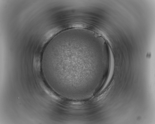 X0000092070349200709121421