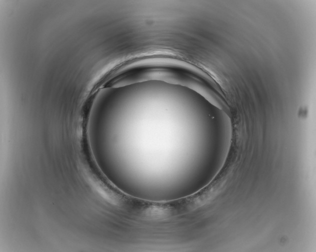 X0000092070350200709121421