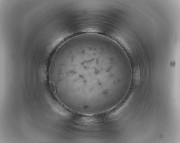 X0000092070351200709121421
