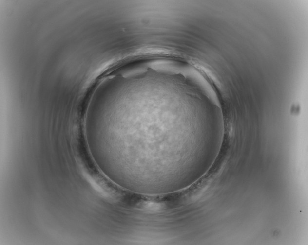 X0000092070352200709121421