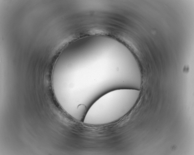 X0000092070353200709121421