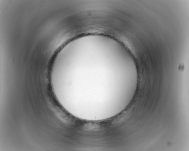 X0000092070354200709121421