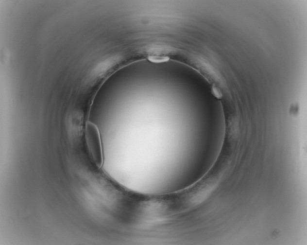 X0000092070356200709121421