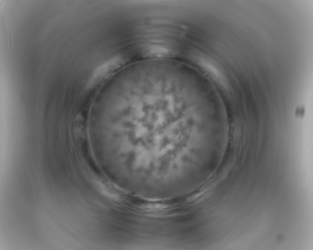 X0000092070361200709121421