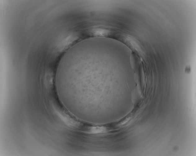 X0000092070363200709121421