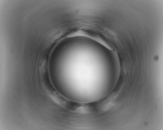 X0000092070364200709121421