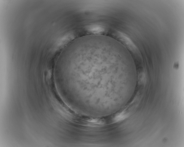 X0000092070365200709121421