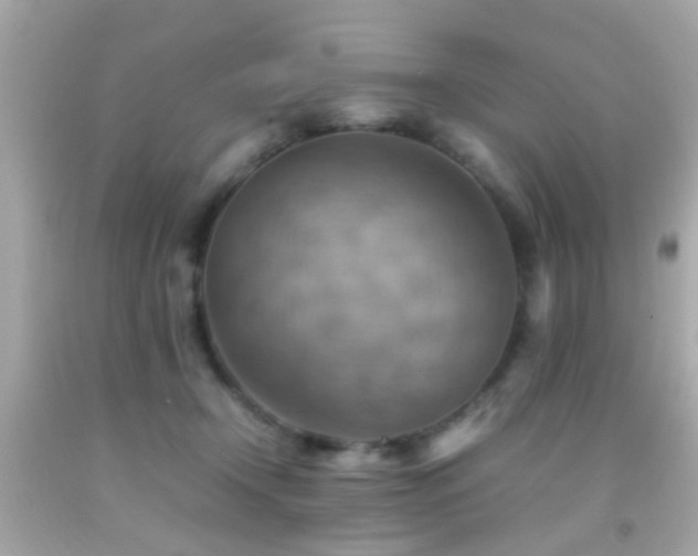 X0000092070366200709121421