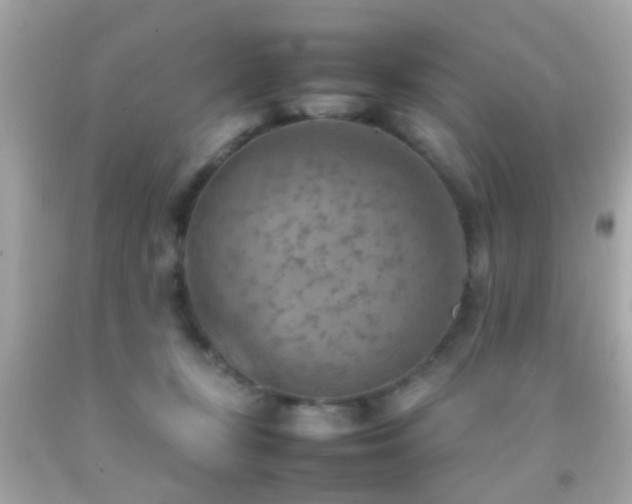 X0000092070367200709121421