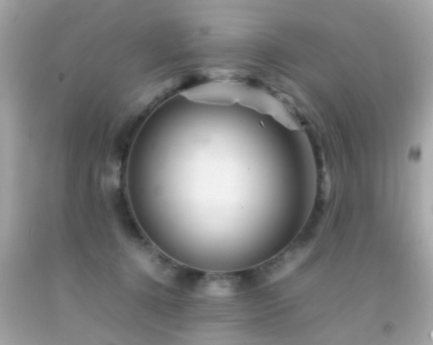 X0000092070368200709121421