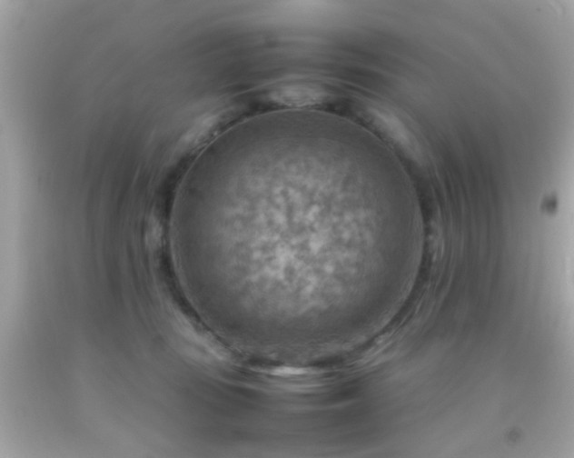 X0000092070371200709121421