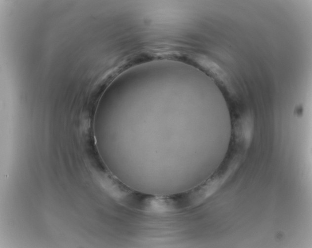 X0000092070372200709121421