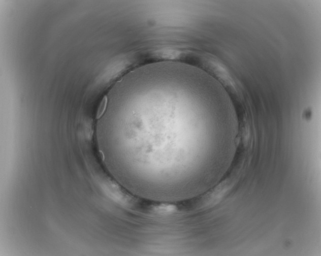 X0000092070374200709121421