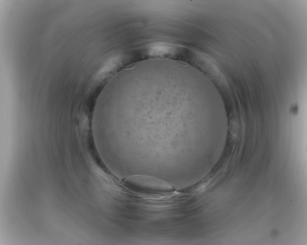 X0000092070375200709121421
