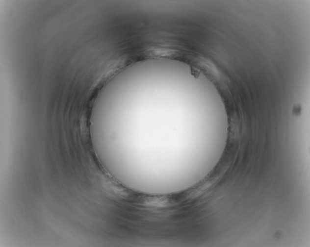 X0000092070377200709121421