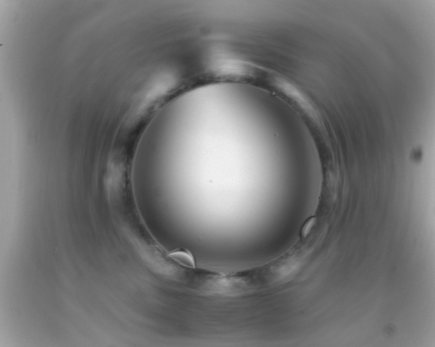 X0000092070379200709121421