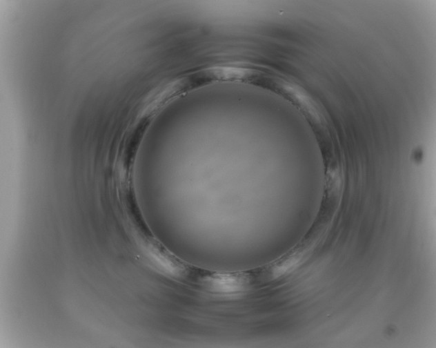 X0000092070381200709121421