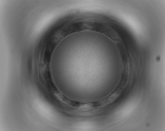 X0000092070382200709121421