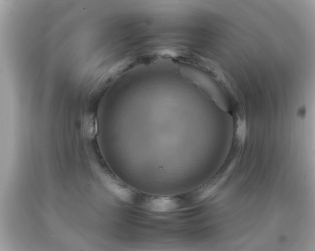 X0000092070383200709121421